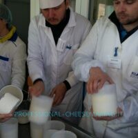 Cheesemaking pictures 3