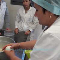 Cheesemaking pictures 8