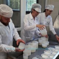Cheesemaking pictures 2