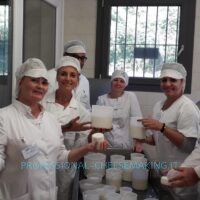 Cheesemaking pictures 7